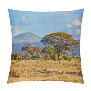 Personality  Savanna Landscape In Africa, Amboseli, Kenya Pillow Covers