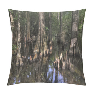 Personality  Bald Cypress Trees Pillow Covers