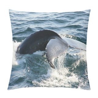 Personality  Whale Pillow Covers