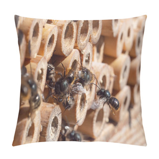 Personality  Mason Bees At An Insect Hotel In Spring Pillow Covers