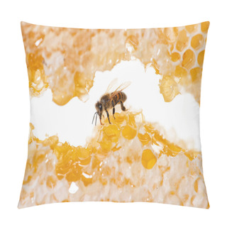 Personality  Bee Eating Honey With Its Tongue. View Through Pieces Of Honeycomb From Hive Frame Pillow Covers
