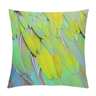 Personality  Nicobar Pigeon Feather Pillow Covers