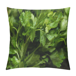 Personality  Close Up View Of Fresh Green Parsley Pillow Covers