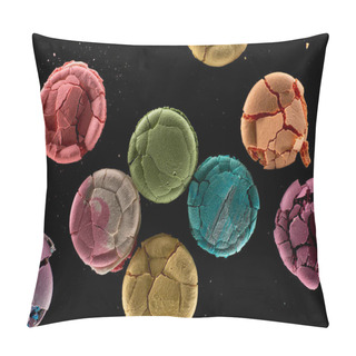 Personality  Top View Of Smashed Delicious Colorful French Macaroons Of Different Flavors Isolated On Black Pillow Covers