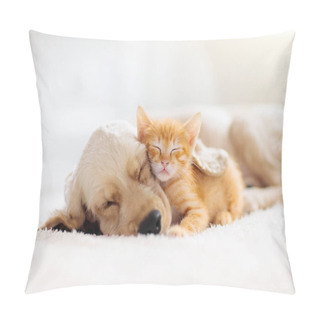 Personality  Cat And Dog Sleeping. Puppy And Kitten Sleep. Pillow Covers