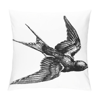 Personality  Vintage Bird Pillow Covers