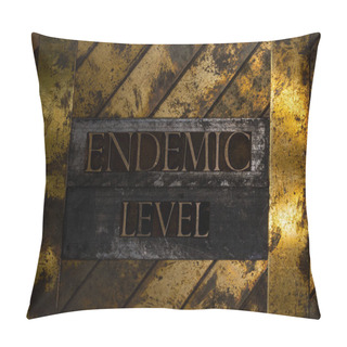 Personality  Endemic Level Text Message On Textured Grunge Copper And Vintage Gold Background Pillow Covers