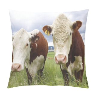 Personality  Two Curious Cows Pillow Covers