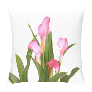 Personality  Calla Lilies And Leaves Isolated On White Pillow Covers