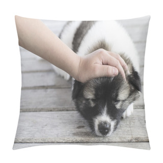 Personality  Child's Hand Touching  Thai Bang Kaew Puppy Head On Wooden Floor Pillow Covers