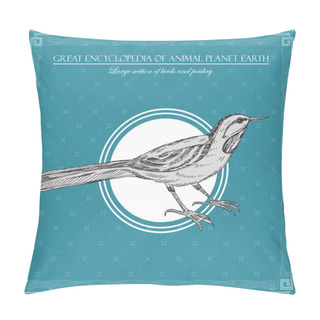 Personality  Great Encyclopedia Of Animal Planet Earth, Vintage Bird Illustration Pillow Covers
