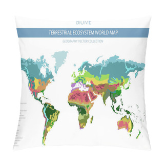 Personality  Terrestrial Ecosystem World Map. Biome. World Climatic Zone Infographic Design. Vector Illustration Pillow Covers