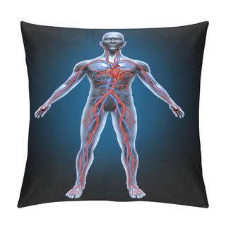 Personality  Human Blood Circulation Pillow Covers