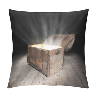 Personality  Chest Of Treasure Pillow Covers