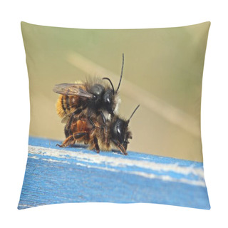 Personality  Horned Wall Bees At Mating Pillow Covers