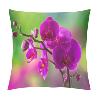 Personality  Purple Orchid Flower On Blur Background Pillow Covers