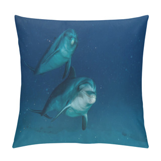 Personality  Dolphin Swimming In The Red Sea, Eilat Israel Pillow Covers