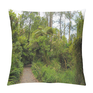 Personality  Forest Of Australia, Consisting Mainly Of Various Types Of Eucalyptus, From Giant Trees To Stunted Shrubs, Numerous Acacias, Banksia And Other Varieties Of Shrubs. Pillow Covers