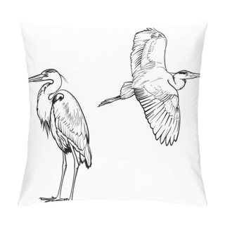 Personality  Heron Sketch. Vector Illustration Of Birds Isolated On White Background. Pillow Covers
