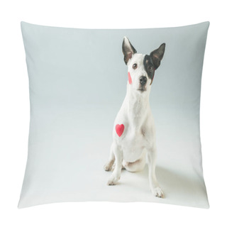 Personality  Funny Jack Russell Terrier Dog In Red Hearts, On White Pillow Covers