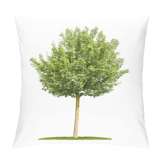 Personality  Isolated Field Maple Tree On A White Background Pillow Covers
