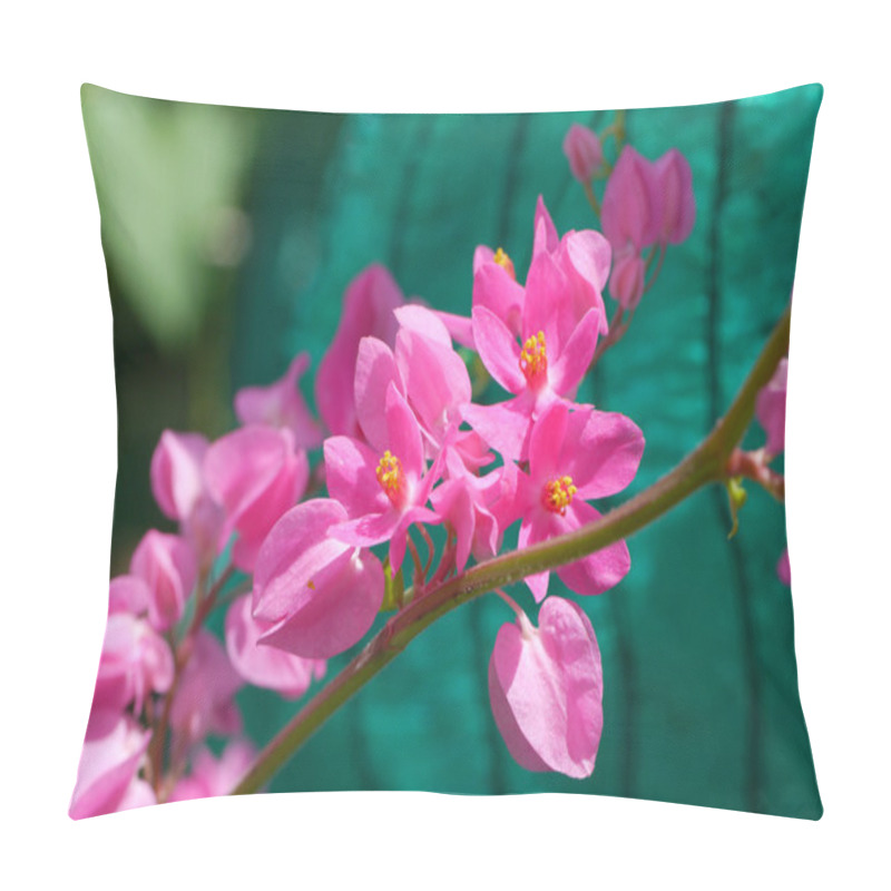 Personality  Confederate vine (Antigonon leptopus Hook.) pillow covers