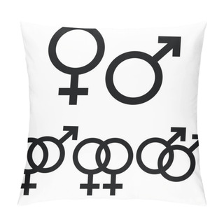 Personality  Male And Female Signs Pillow Covers