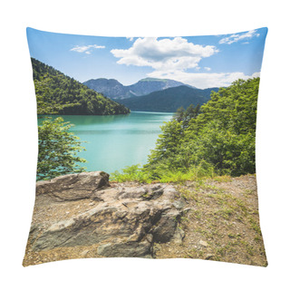 Personality  Alpine Lake Ritsa In Abkhazia Pillow Covers