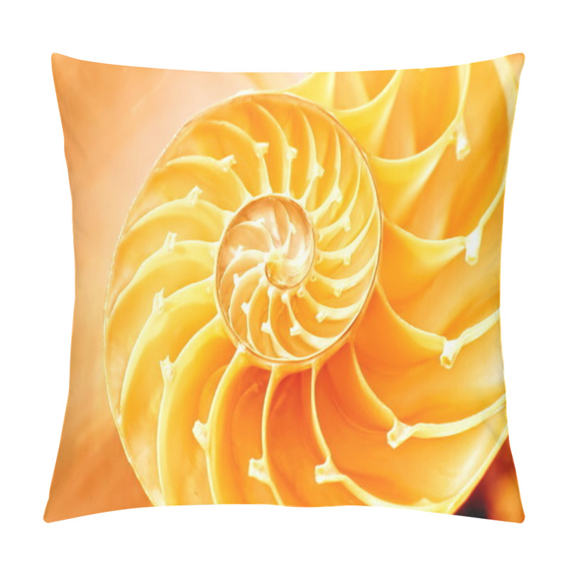 Personality  Nautilus shell section pillow covers