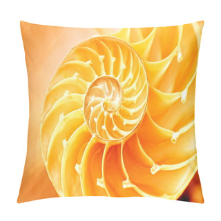 Personality  Nautilus Shell Section Pillow Covers