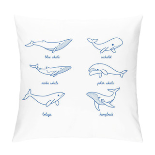 Personality  Cartoon Whale Sketch Line Icon. Different Type Of Whale - Sperm Whale, Blue Whale, Humpback Whale, Polar Whale, Beluga. Pillow Covers