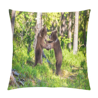 Personality  Brown Bear Cubs Playfully Fighting In Summer Green Forest. Scientific Name: Ursus Arctos Arctos. Natural Habitat. Pillow Covers