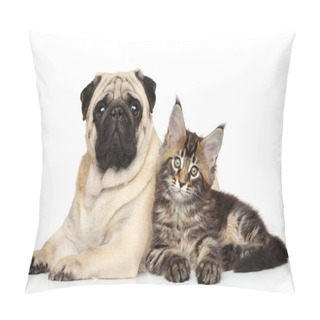 Personality  Cat And Dog Together Lying On White Pillow Covers
