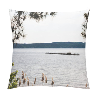 Personality  Selective Focus Of Lake Near Reeds And Green Plants  Pillow Covers