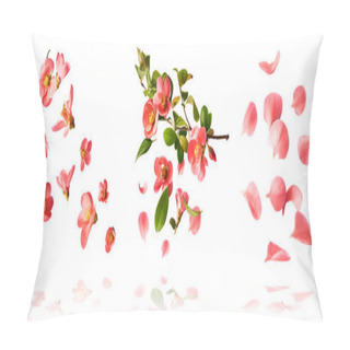 Personality  Set With  Beautiful Spring Pink Flowers Flying In The Air Isolated On The White Background. Levitation Conception. High Resolution Image Pillow Covers