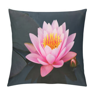 Personality  Beautiful Blooming Lotus Flower Pillow Covers