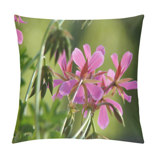 Personality  Beautiful Geranium Flower Pillow Covers