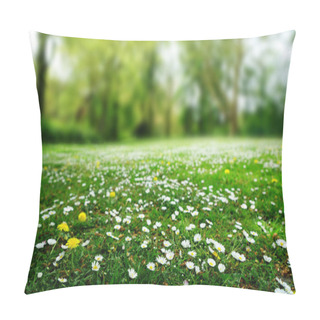 Personality  White  Chamomiles, Natural Green Blurred Spring Background, Defocused Image, Selective Focus Pillow Covers