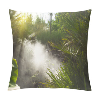 Personality  Foggy Morning In The Jungle With The Rays Of The Sun Pillow Covers
