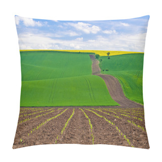 Personality  Countryside Of Moravia Pillow Covers