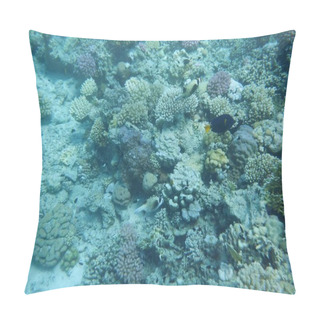 Personality  Underwater World With Corals And Tropical Fish Pillow Covers