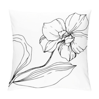 Personality  Vector Monochrome Orchid With Leaves Isolated On White. Engraved Ink Art. Pillow Covers