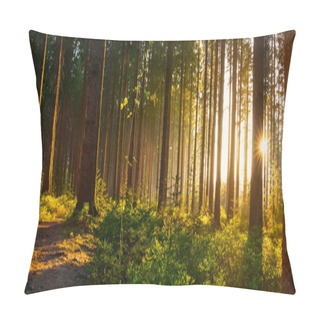 Personality  Silent Forest In Spring Pillow Covers