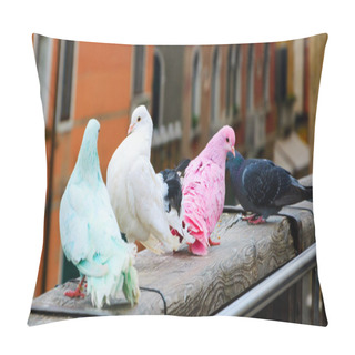 Personality  Four Colorful Pigeons On Bridge Pillow Covers