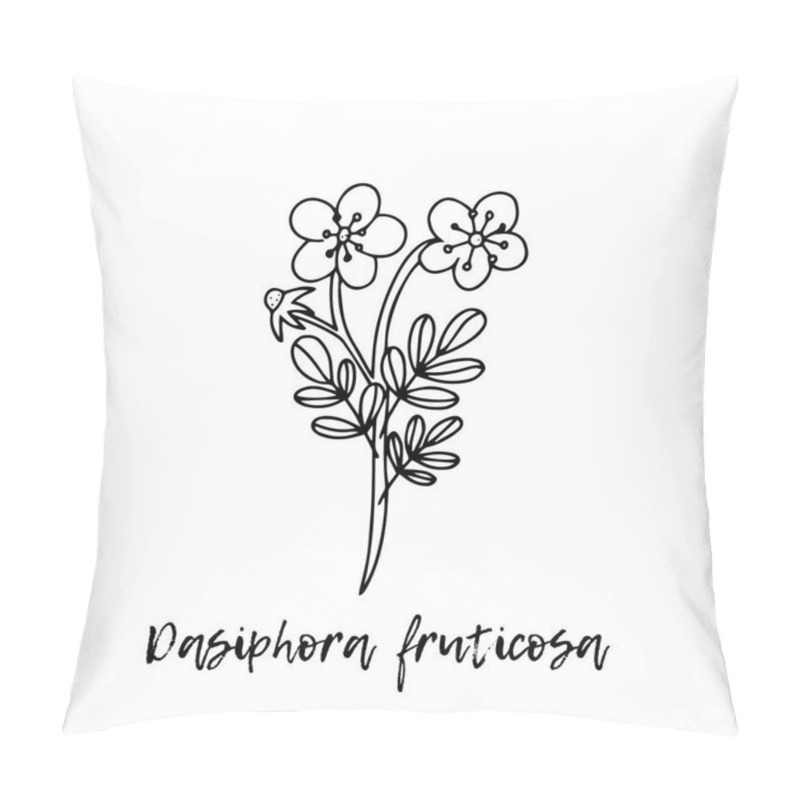 Personality  Dasiphora fruticosa. Ayurveda. Natural herbs. Ayurvedic herbs, medicines. Herbal illustration. A medicinal plant. The style of doodles. Medicines for health from plants.  pillow covers