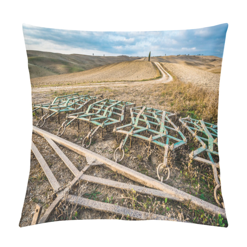 Personality  Beautiful View Of The Country Footpath At Sunset In Tuscany Pillow Covers