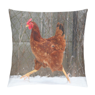 Personality  Running Hen In Winter Pillow Covers