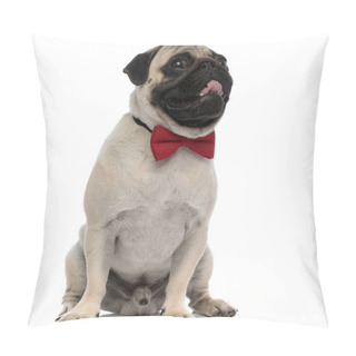 Personality  Charming Pug Panting And Wearing An Elegant Red Bowtie Pillow Covers