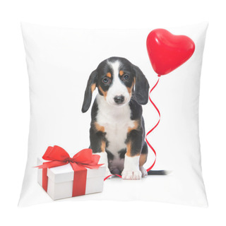 Personality  Party Dog Pillow Covers