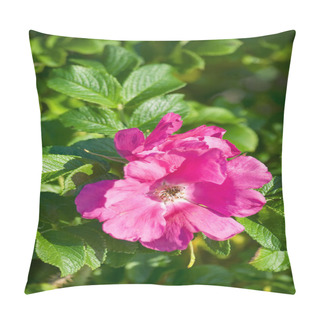 Personality  Dog Rose Pillow Covers